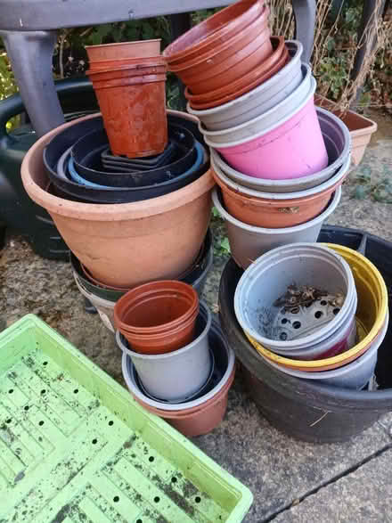 Photo of free Plant pots (Woodseats S8) #2