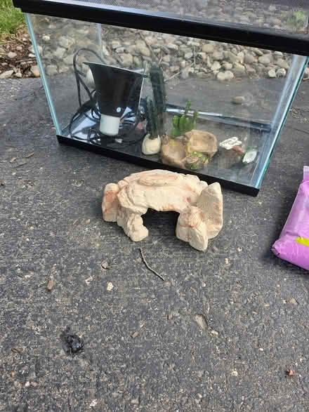 Photo of free Reptile starter set (Raritan Twsp) #4