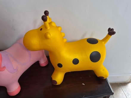 Photo of free Bouncy Pony & Giraffe (Leicester) #2