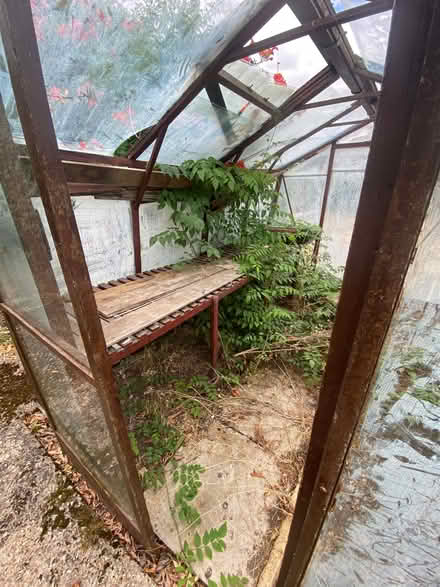 Photo of free Greenhouse (Trumpington Ward CB2) #3