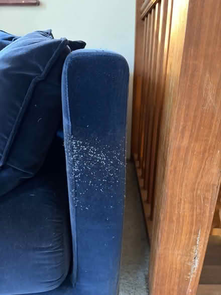 Photo of free IKEA Stockholm navy velvet sofa (Fremantle) #3