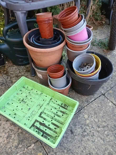 Photo of free Plant pots (Woodseats S8) #1