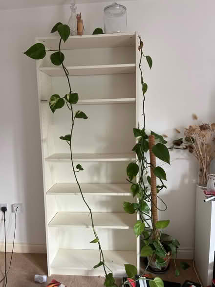 Photo of free IKEA ‘Billy’ bookshelf (Barton le clay MK45) #1