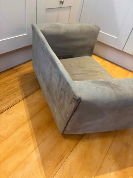 Photo of free Dog sofa (Chelsea london) #4