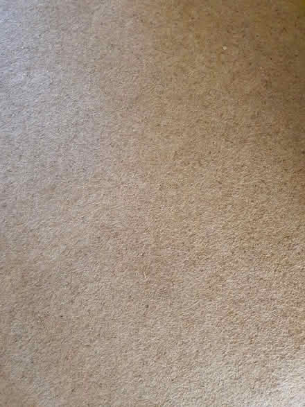 Photo of free Wool Carpet Dark Beige (Thorne Doncaster) #1
