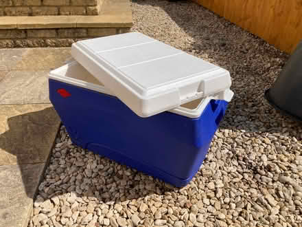 Photo of free Plastic Picnic Ice box with carry handles (Barton OX3) #2