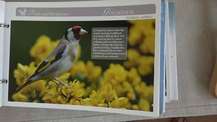 Photo of free Birds of Britain folders (St Albans AL4) #3