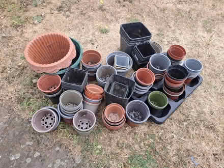 Photo of free Plastic plant pots (Coventry CV6) #1