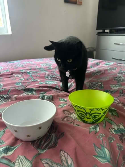 Photo of free kitchen stuff (Birkenhead CH42) #2