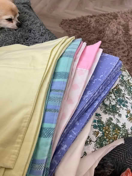 Photo of free Assorted Pillowcases (Minehead TA24) #2