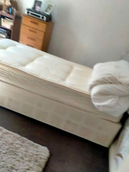 Photo of free Single bed /with headboard (castletown SR5 3ep) #4