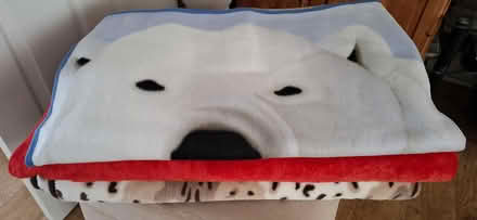 Photo of free Large Blankets (Tiptree CO5) #1