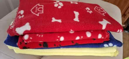 Photo of free Small pet blankets (Tiptree CO5) #1