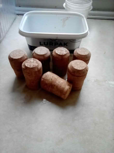 Photo of free Champagne corks (Chirk Bank LL14) #1