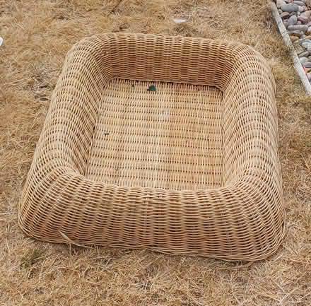 Photo of free Pet basket (West Hitchin SG5) #1