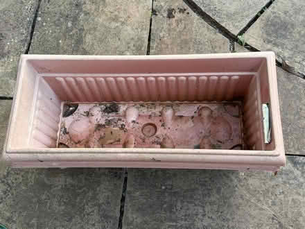 Photo of free Plant pots and troughs (Felpham PO22) #2