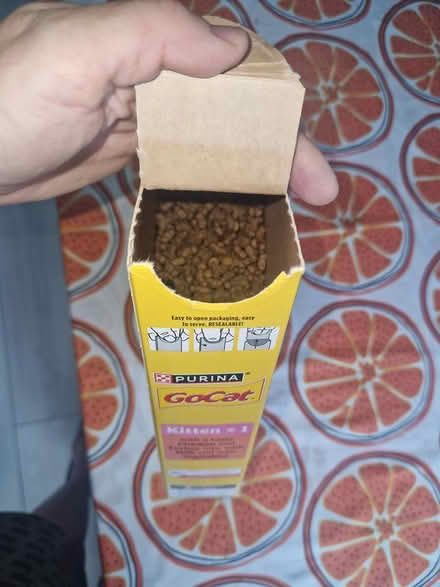 Photo of free Open Kitten food (Harlow South CM18) #2