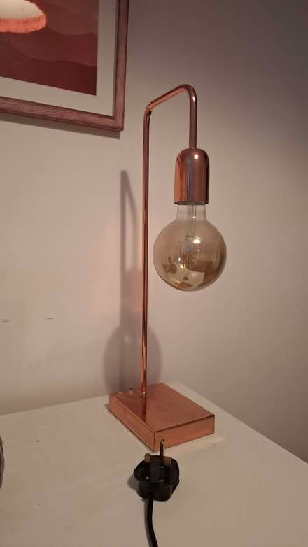 Photo of free Copper tone table light (Caversham RG4) #1