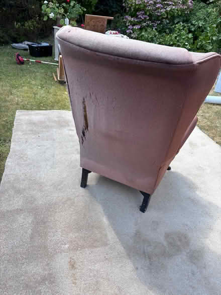 Photo of free Wingback chair (Bear Flat BA2) #1
