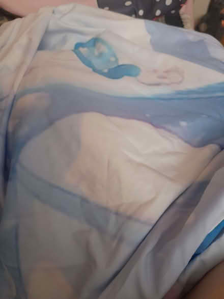 Photo of free Girl design duvet cover (Oakridge RG21) #1