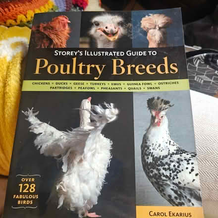 Photo of free Poultry Breeds Book (Little Stonham IP14) #1