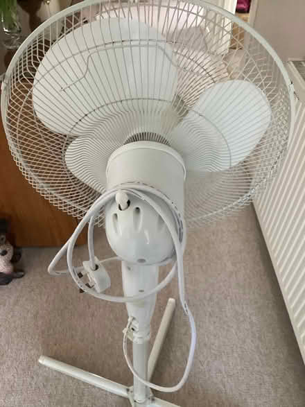 Photo of free Oscillating floor fan (Bearwood BH11) #2