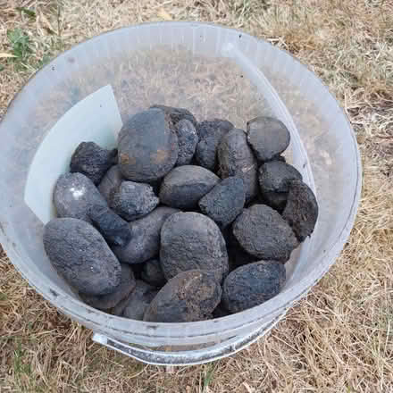 Photo of free solid fuel, I'm guessing for open fire/stove (Binsey OX2) #1
