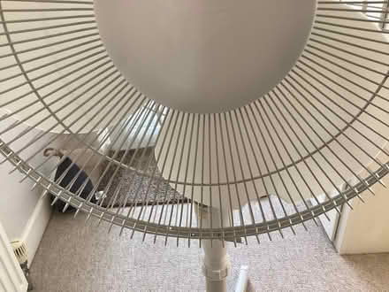 Photo of free Oscillating floor fan (Bearwood BH11) #3