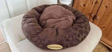 Photo of free Pet bed (Tiptree CO5) #1