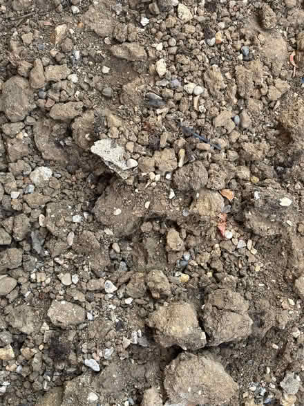 Photo of free Soil (Dunton SG18) #2