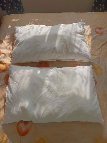 Photo of free Used Ikea pillows (Rose Hill OX4) #1
