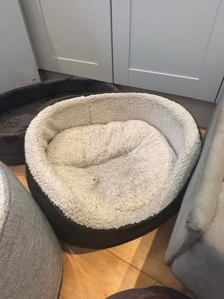 Photo of free Dog beds (Chelsea london) #4