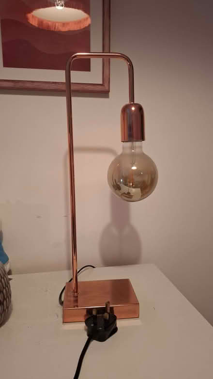 Photo of free Copper tone table light (Caversham RG4) #3