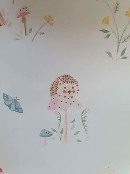 Photo of free Kid's Wallpaper (Rotherhithe SE16) #2