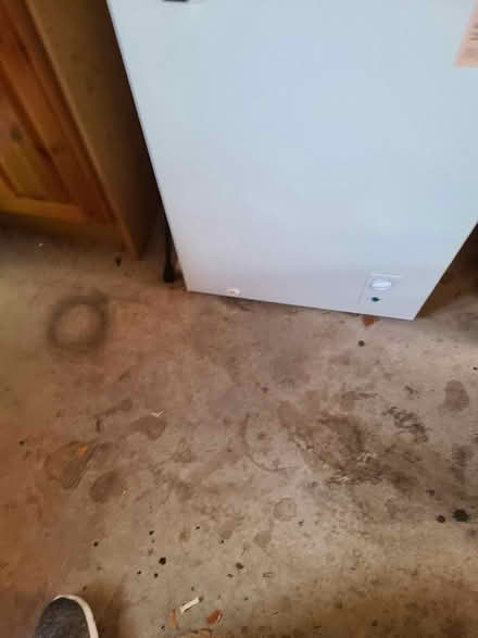 Photo of free Bush - small chest freezer (Penrith CA11) #4