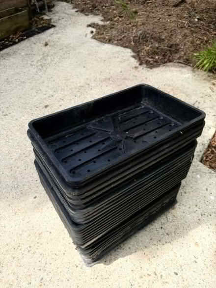 Photo of free Plastic Seed Trays (Meresborough ME8) #1