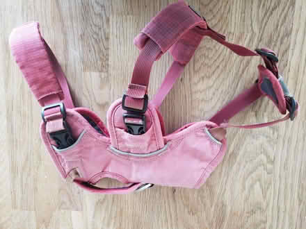 Photo of free Ruffwear 3 strap dog harness xs (Great Asby CA16) #1
