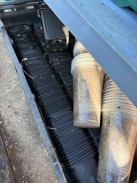 Photo of free Seed trays, pots, jars (NE28 Wallsend) #2