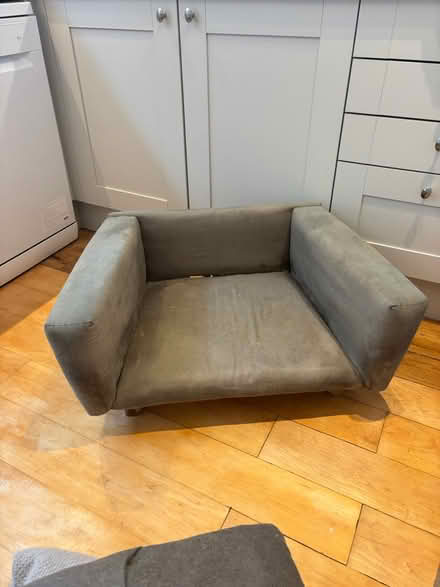Photo of free Dog sofa (Chelsea london) #1