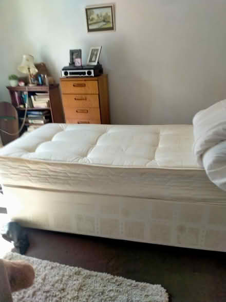 Photo of free Single bed /with headboard (castletown SR5 3ep) #1