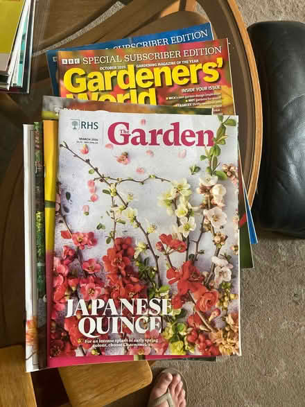 Photo of free magazines (Stanford-Le-Hope SS17) #2