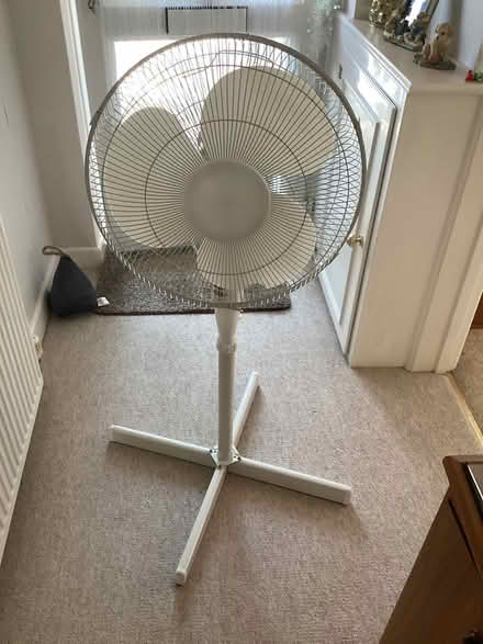 Photo of free Oscillating floor fan (Bearwood BH11) #1