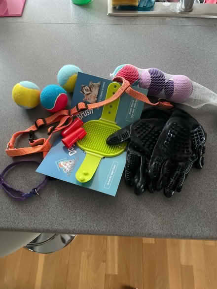Photo of free Pet accessories (Chessington KT9) #1