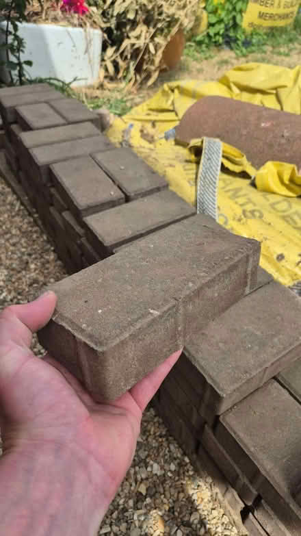 Photo of free Paving Bricks (Densole CT18) #1