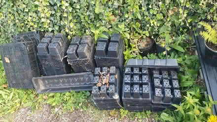 Photo of free Assorted seed trays and pots (Bolton CA16) #1