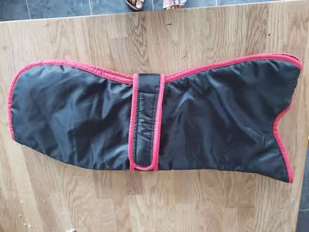 Photo of free Waterproof lined dog coat (Great Asby CA16) #2