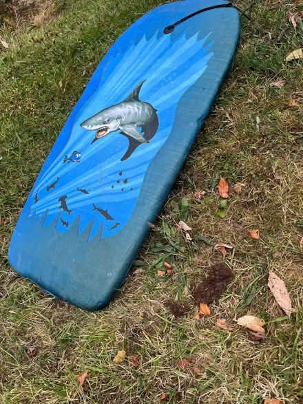 Photo of free Bellyboard or Skimboard (Llanfair Caereinion SY21) #1