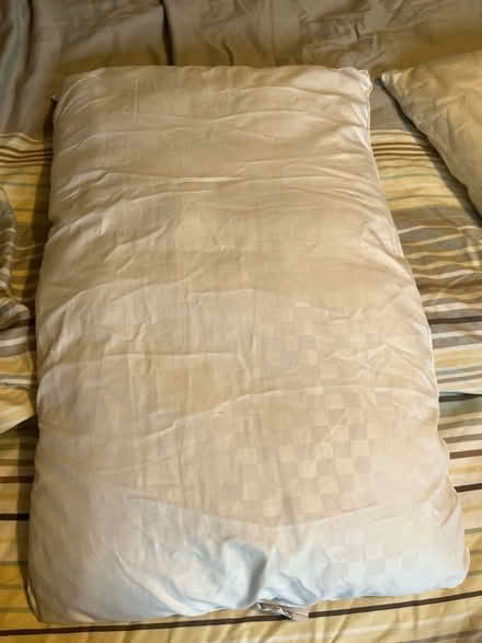 Photo of free 2 Pillows (Golden Triangle NR2) #1