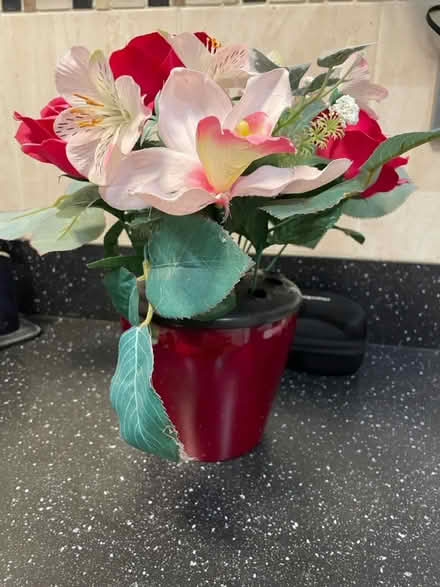 Photo of free Faux Flowers (Sole Street DA13) #1