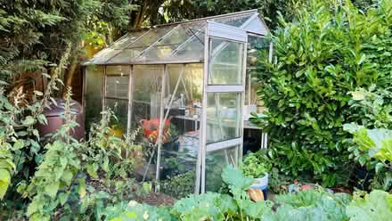 Photo of free Neglected greenhouse (Aspull Moor WN2) #1